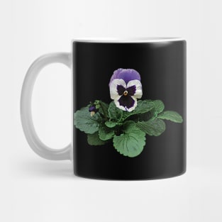 Pansies - Pansy Takes a Bow Mug